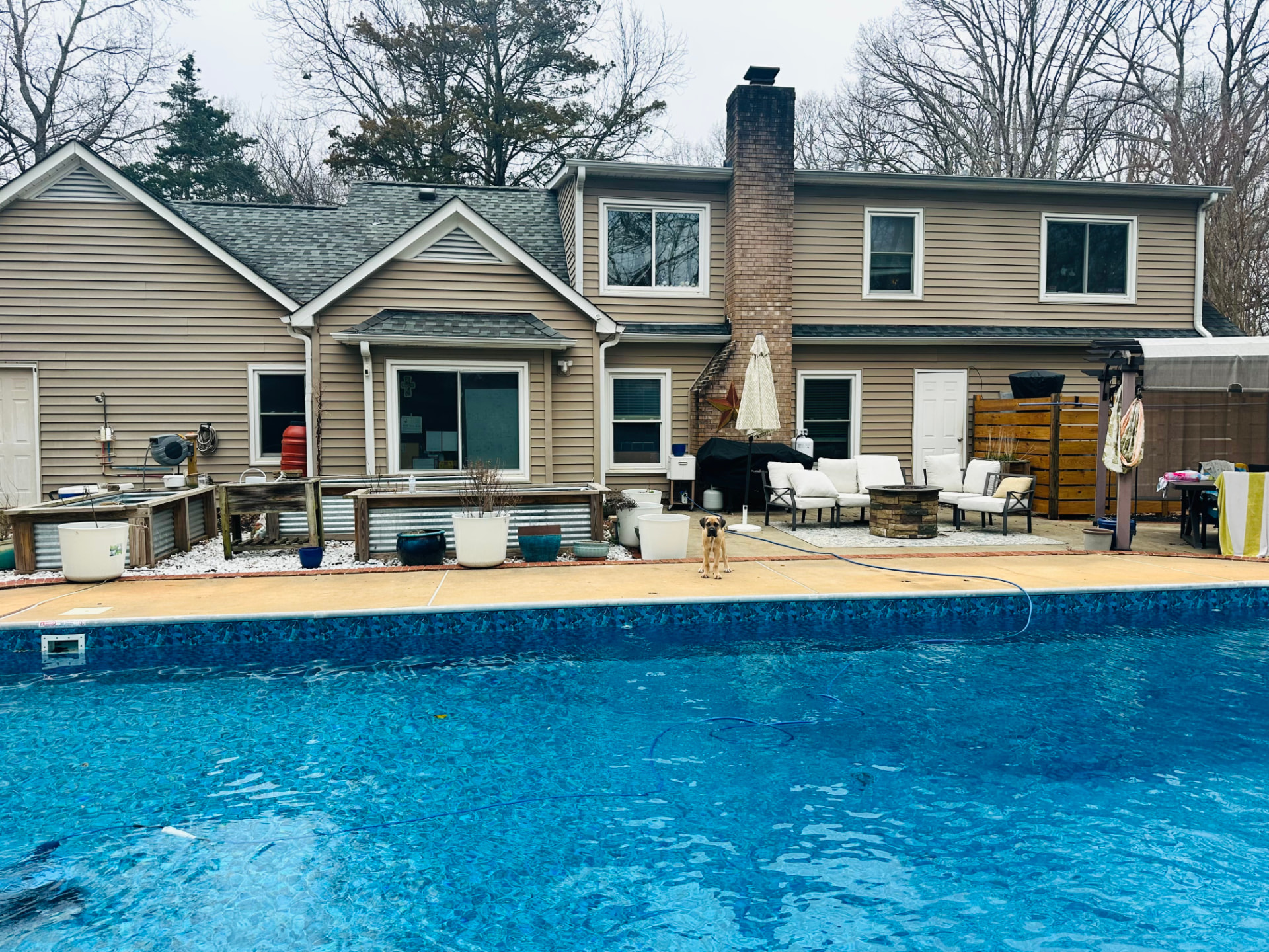 Saltwater pool and rear exterior at 9423 Whitethorn Drive
